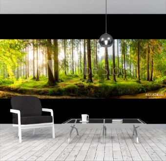 Picture of Wald Panorama bei Sonnenaufgang